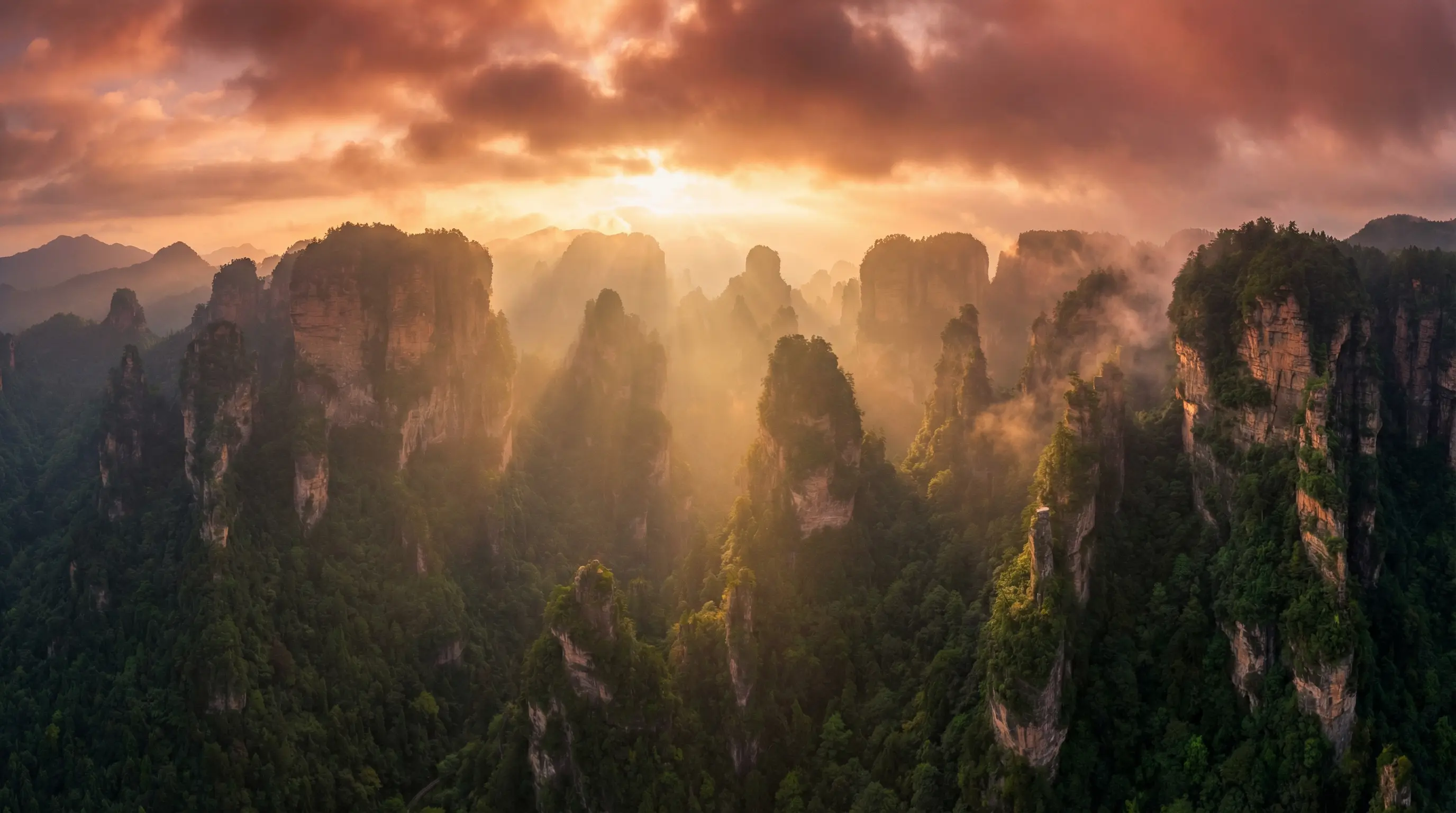 青丝影院免费观看 自然风光视频封面